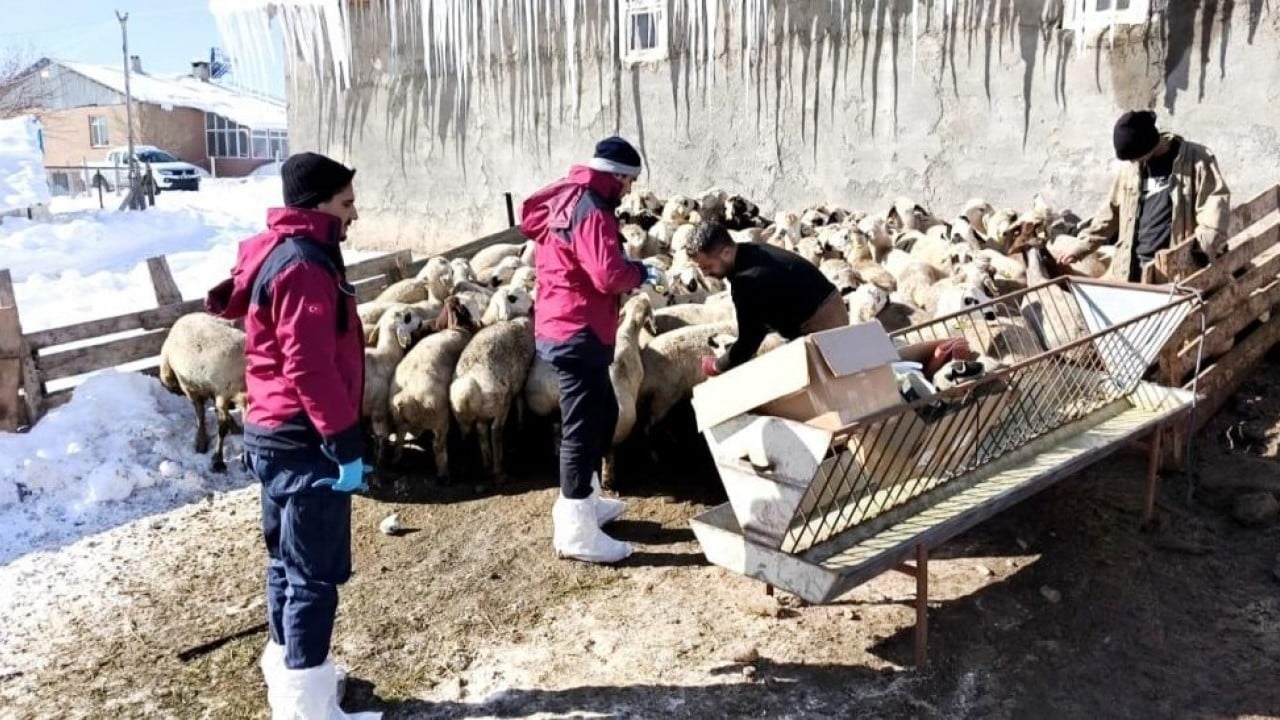 Foto - Beyaz esaret içinde hayata dokunan eller