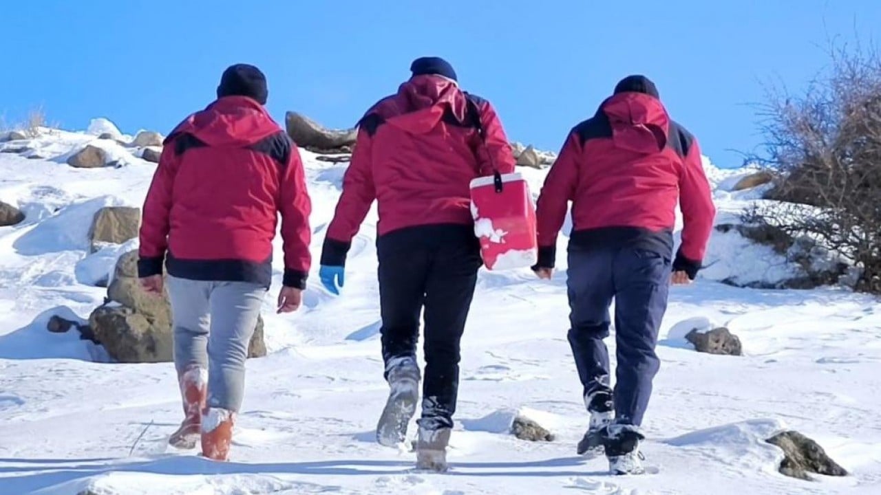 Foto - Beyaz esaret içinde hayata dokunan eller