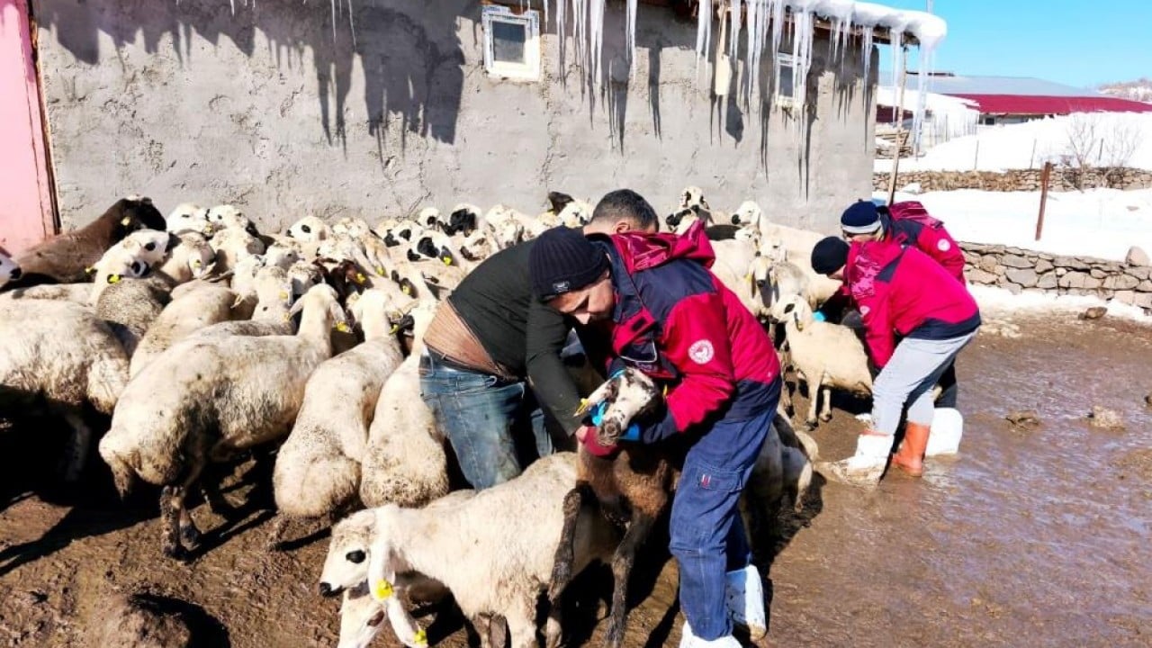 Foto - Beyaz esaret içinde hayata dokunan eller