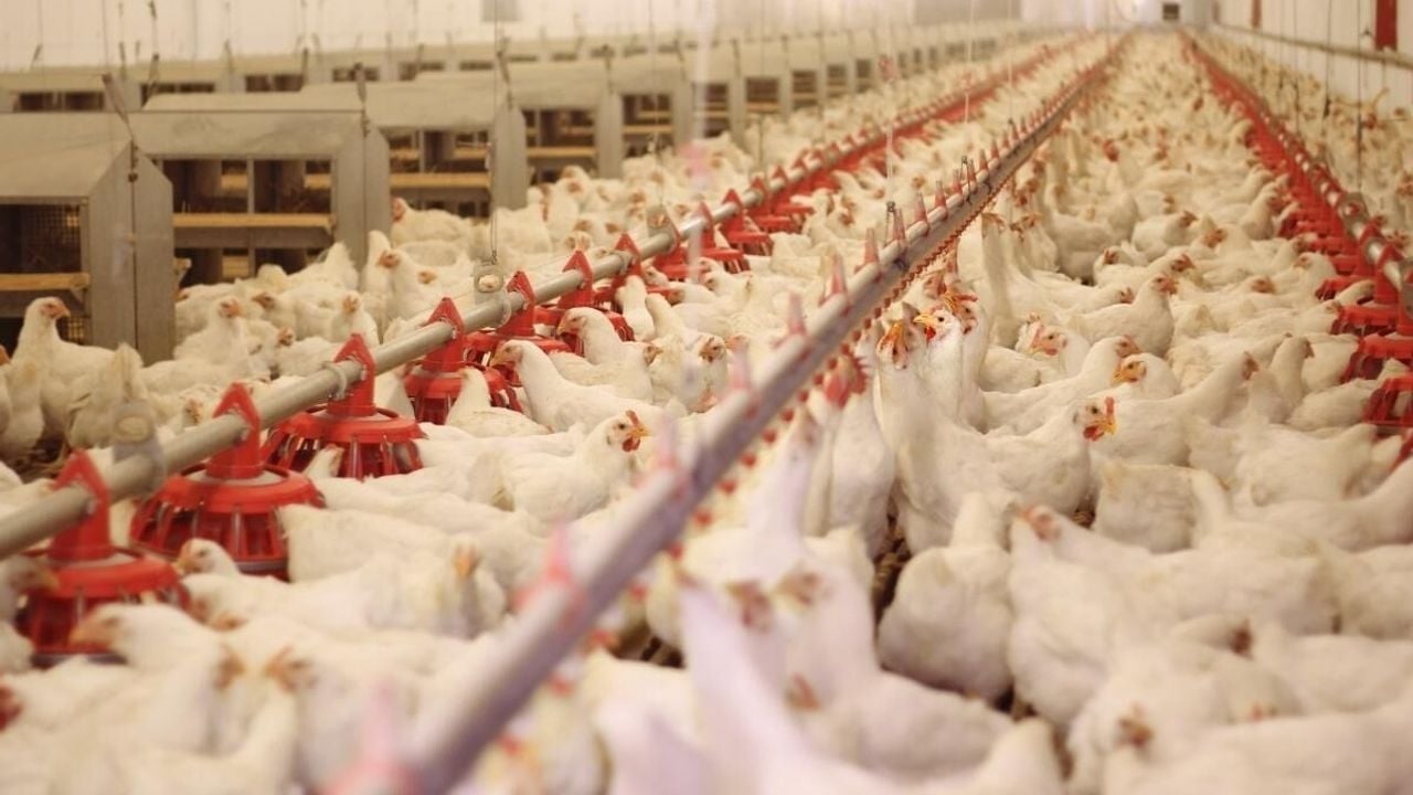 Foto - Beyaz et sektöründe 13 şirkete kayyım atanmıştı! Fahiş fiyat soruşturmasında sıcak gelişme