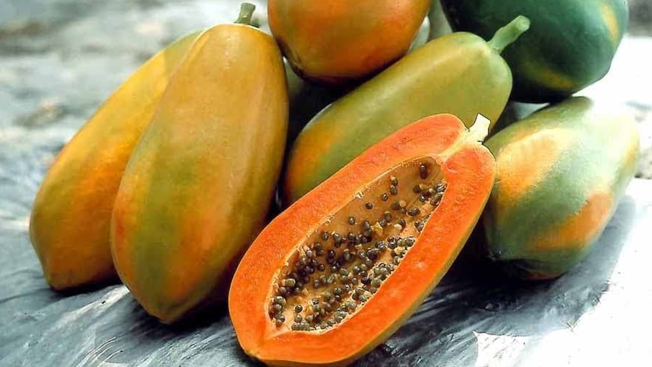 Foto - Beyaz saçlara çare! Göklerden gelen bir armağan olarak görülüyor: 3 yıl içinde oluyor, tanesi 400 TL! 