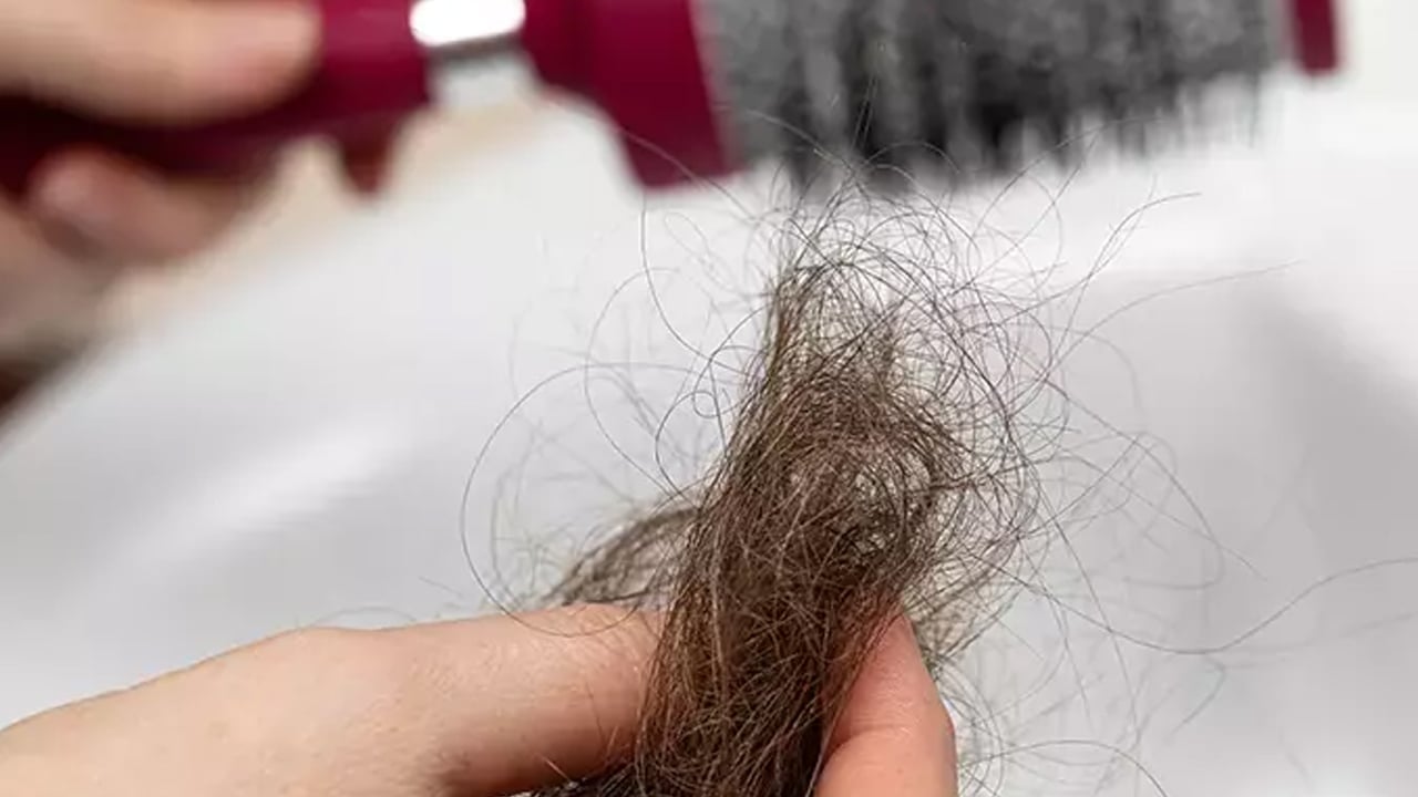 Foto - Beyaz saçları 1 gecede özüne döndüren İbn-i Sina’nın formülü: Boya değil bitkisel! 2026'da saç trendi oldu