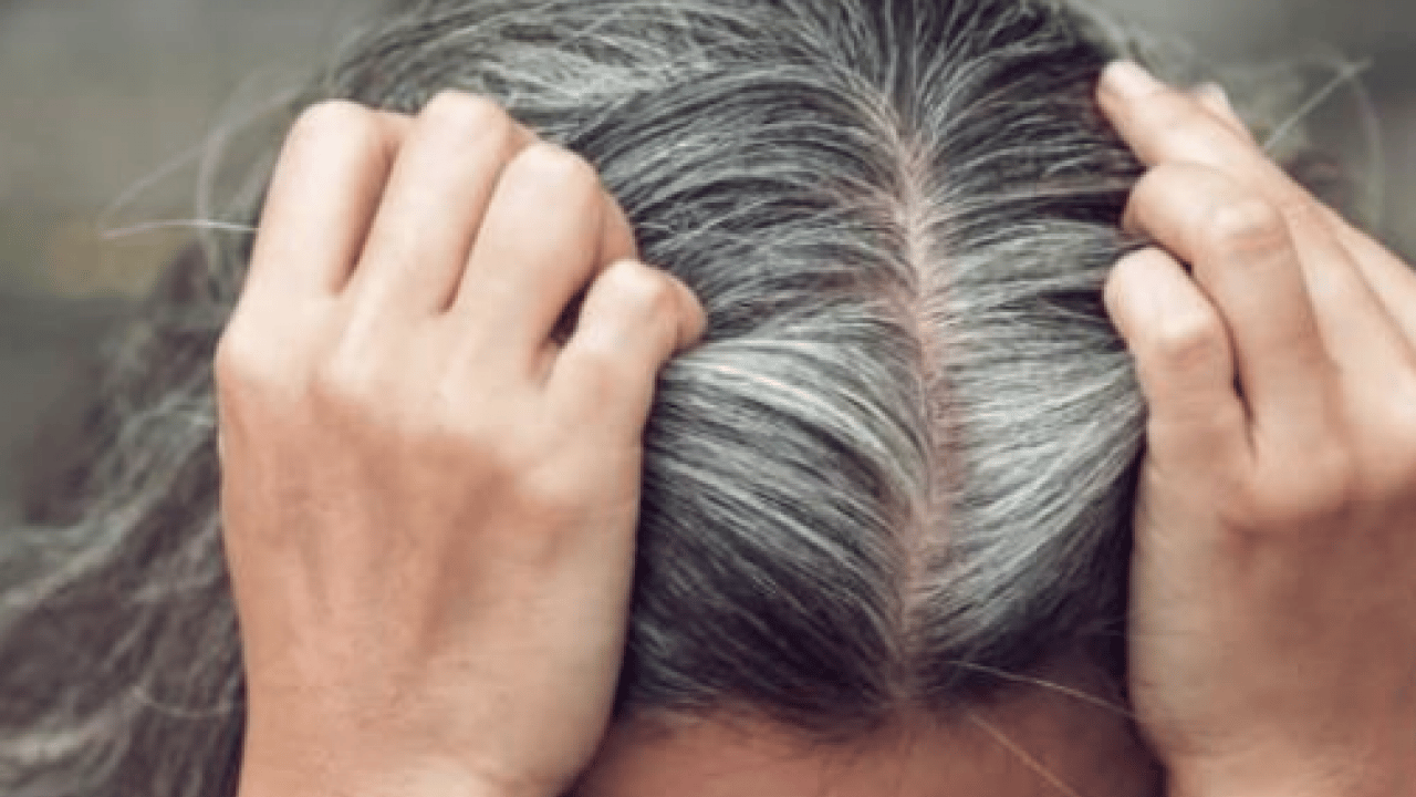 Foto - Beyaz saçları doğal rengine döndürüyor! Boya gibi iki balık: Müthiş şifa olacak