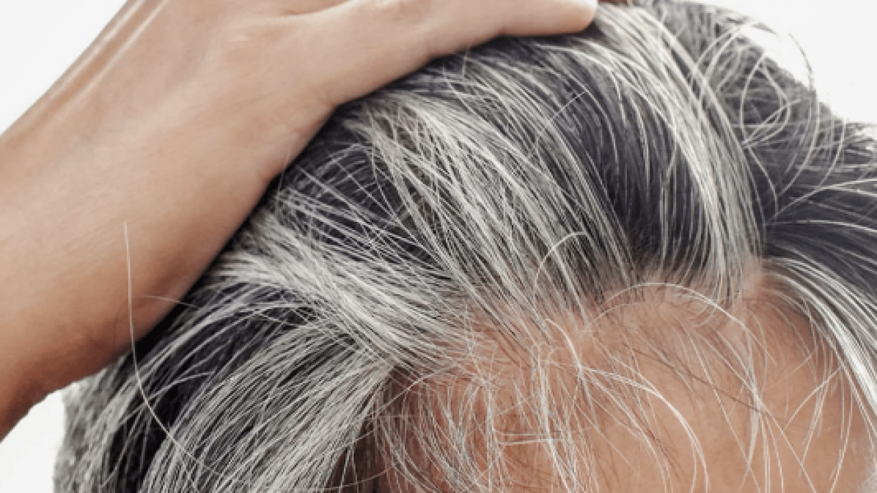 Beyaz saçları doğal rengine döndürüyor! Boya gibi iki balık: Müthiş şifa olacak