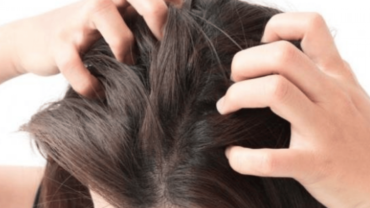 Foto - Beyaz saçları doğal rengine döndürüyor! Boya gibi iki balık: Müthiş şifa olacak