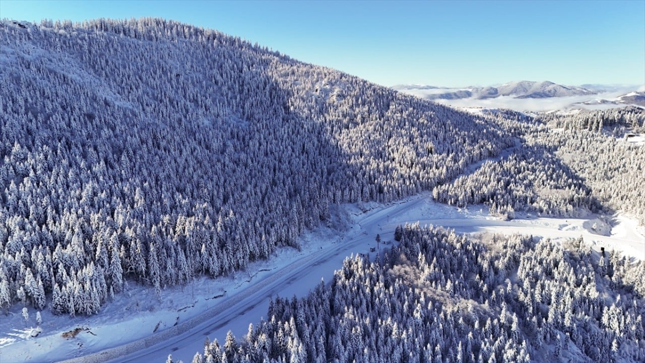 Foto - Beyaza büründü! Çambaşı Yaylası'nda kış manzarası
