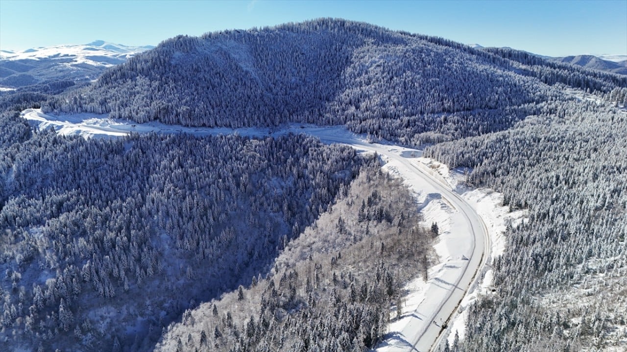 Foto - Beyaza büründü! Çambaşı Yaylası'nda kış manzarası