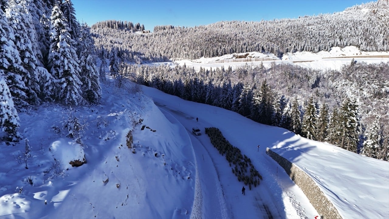 Foto - Beyaza büründü! Çambaşı Yaylası'nda kış manzarası