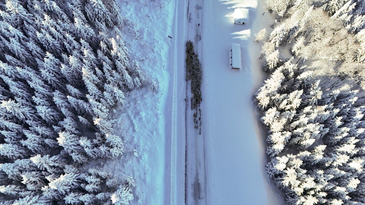 Foto - Beyaza büründü! Çambaşı Yaylası'nda kış manzarası