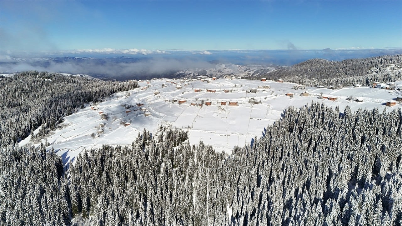 Foto - Beyaza büründü! Çambaşı Yaylası'nda kış manzarası