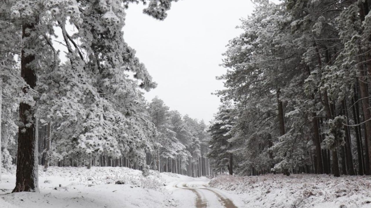 Beyaza bürünen Kaz Dağları nefes kesti