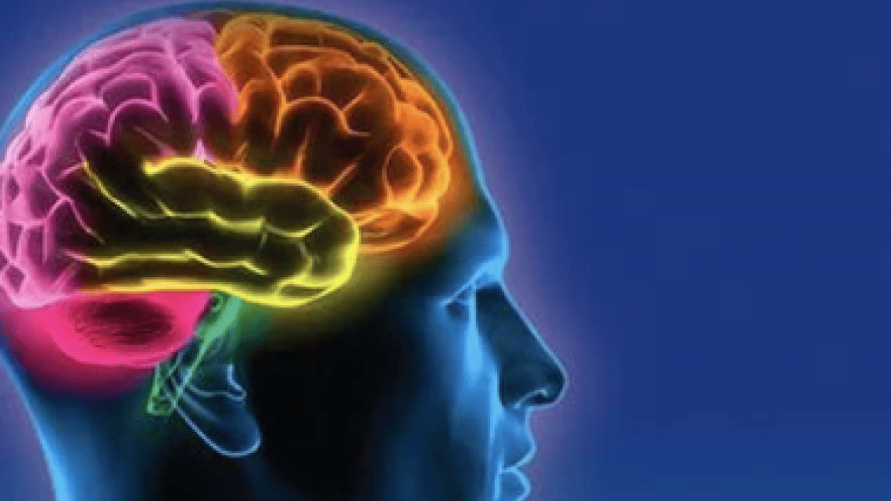 Foto - Beyin kütlesinin %90'ı eksik olan bir adam keşfedildi: Buna rağmen... Büyük şok etkisi!