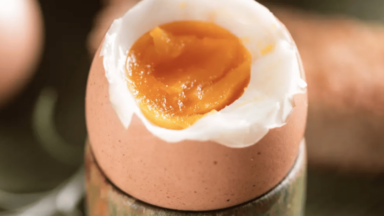 Foto - Beyin nöronlarının ekmeği resmen! 22 yıl araştırıldı ve ortaya çıktı!