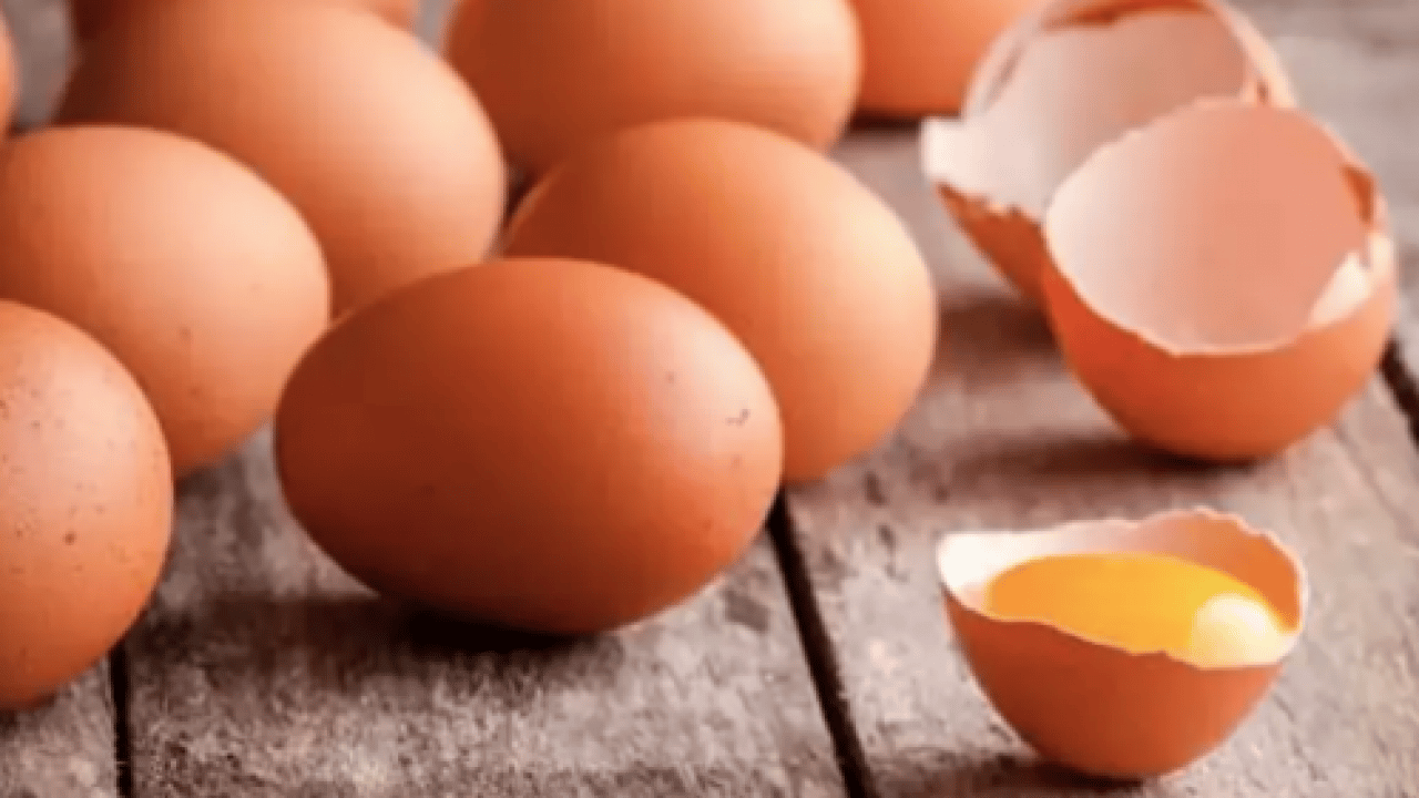 Foto - Beyin nöronlarının ekmeği resmen! 22 yıl araştırıldı ve ortaya çıktı!