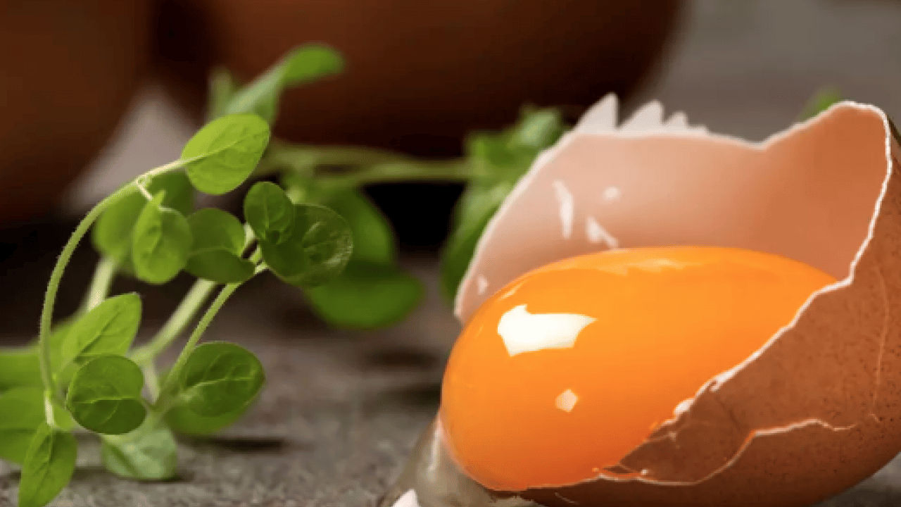 Foto - Beyin nöronlarının ekmeği resmen! 22 yıl araştırıldı ve ortaya çıktı!