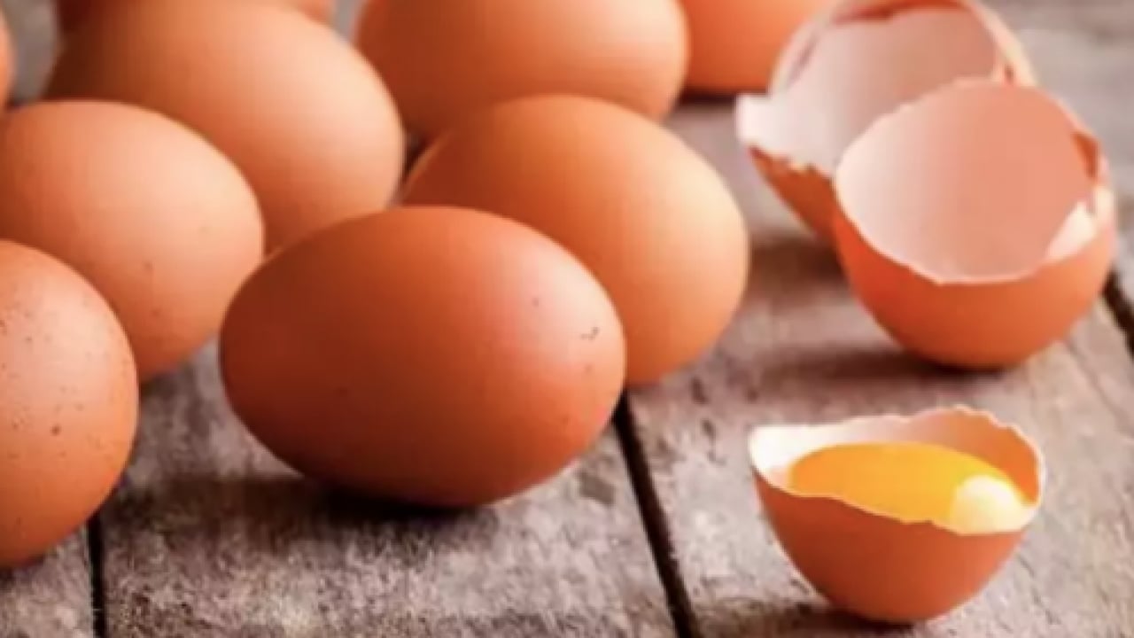 Foto - Beyin nöronlarının ekmeği resmen! 22 yıl araştırıldı ve ortaya çıktı!