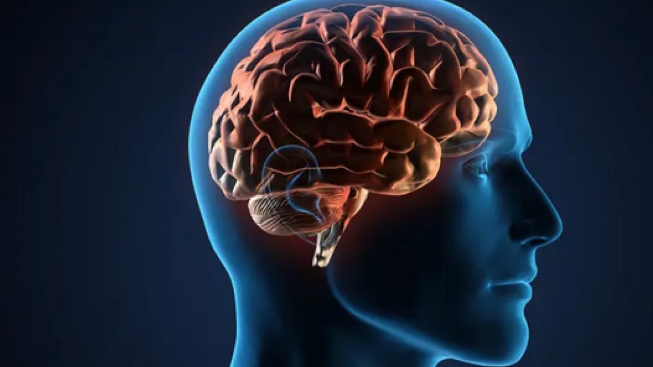 Foto - Uzman isim duyurdu: Hastalıkları tedavi etmek kadar önemli: İnme, epilepsi ve nörolojik...