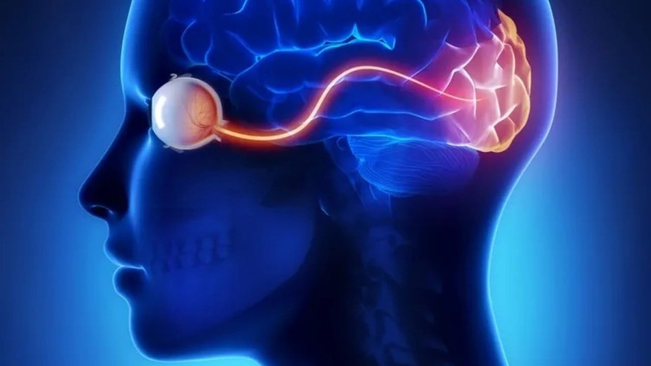 Foto - Beyin silahları zihine hükmediyor