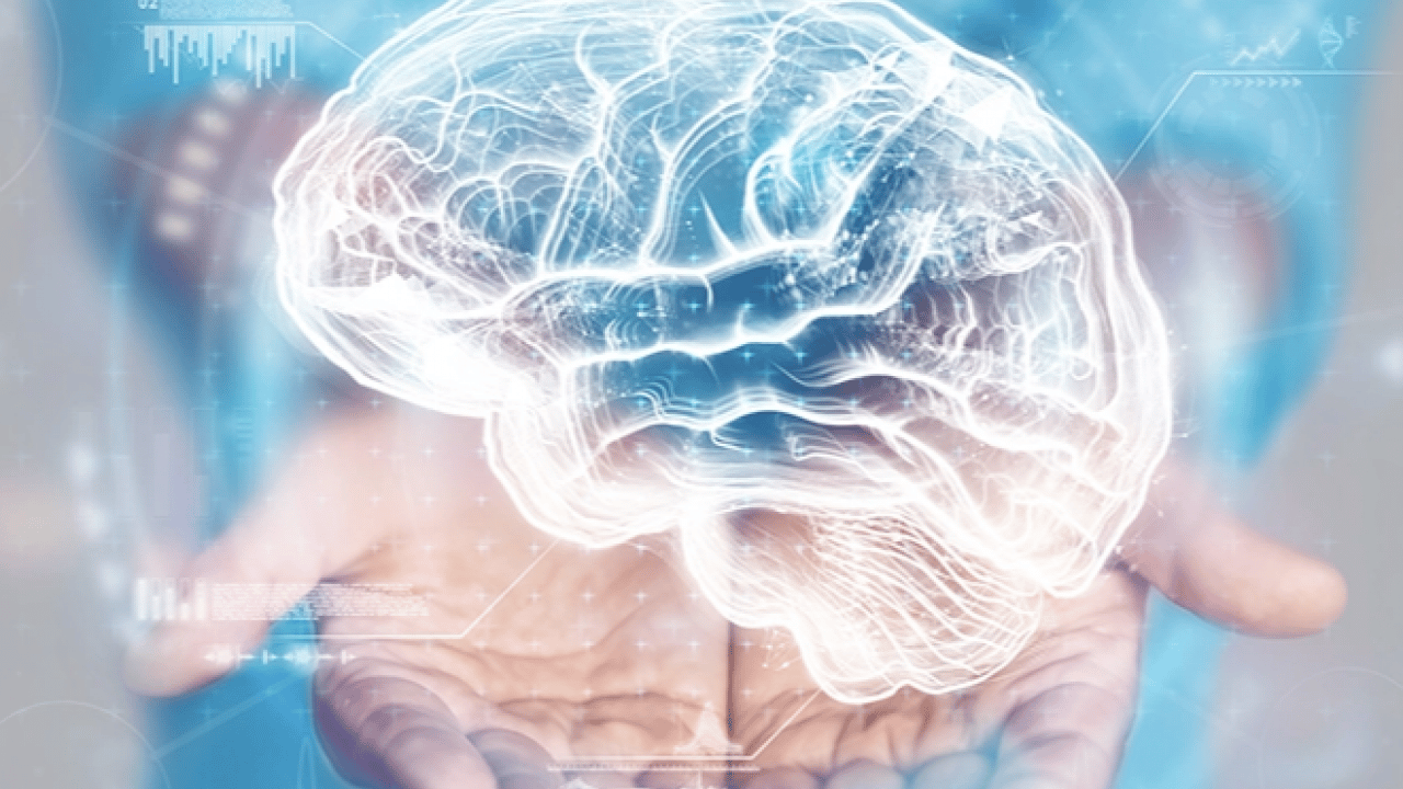 Foto - Beyin sisini saniyeler içinde dağıtıyor! Canan Karatay açıkladı! Beyniniz bulanıyorsa...