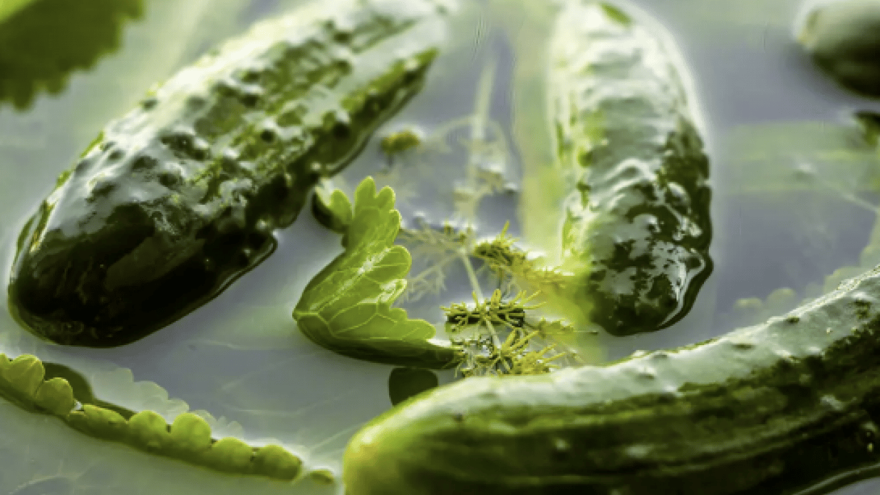 Foto - Beyin sisini saniyeler içinde dağıtıyor! Canan Karatay açıkladı! Beyniniz bulanıyorsa...