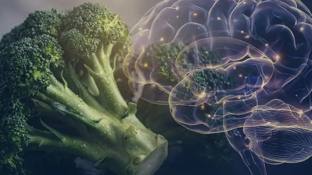 Foto - Beyin ve Alzheimer'in ilacı: İbrahim Saraçoğlu öneriyor!