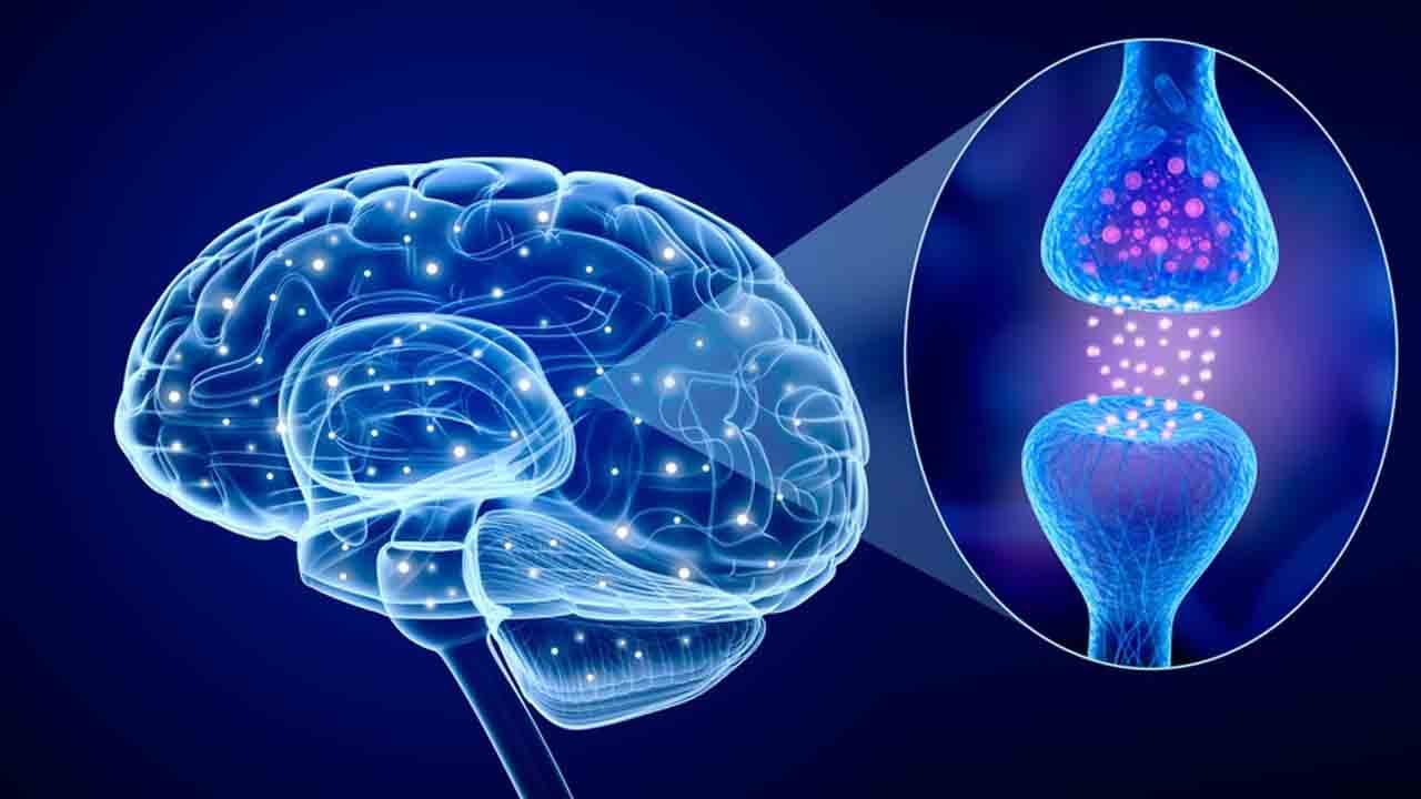 Beyne kök hücre nakli: Parkinson hastaları için umut oldu