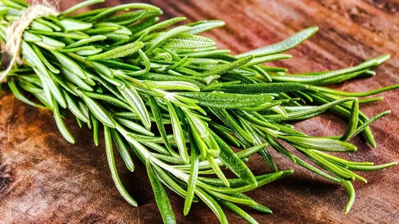 Foto - Biberiye sadece mutfak bitkisi değil Bir kere kokla hiç unutma