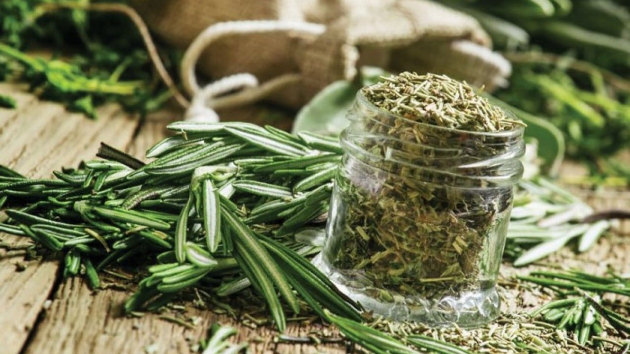 Foto - Biberiye sadece mutfak bitkisi değil Bir kere kokla hiç unutma