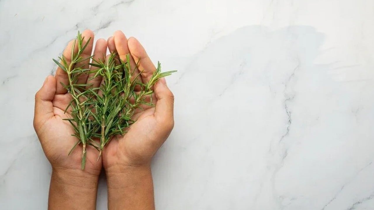 Biberiye sadece mutfak bitkisi değil Bir kere kokla hiç unutma