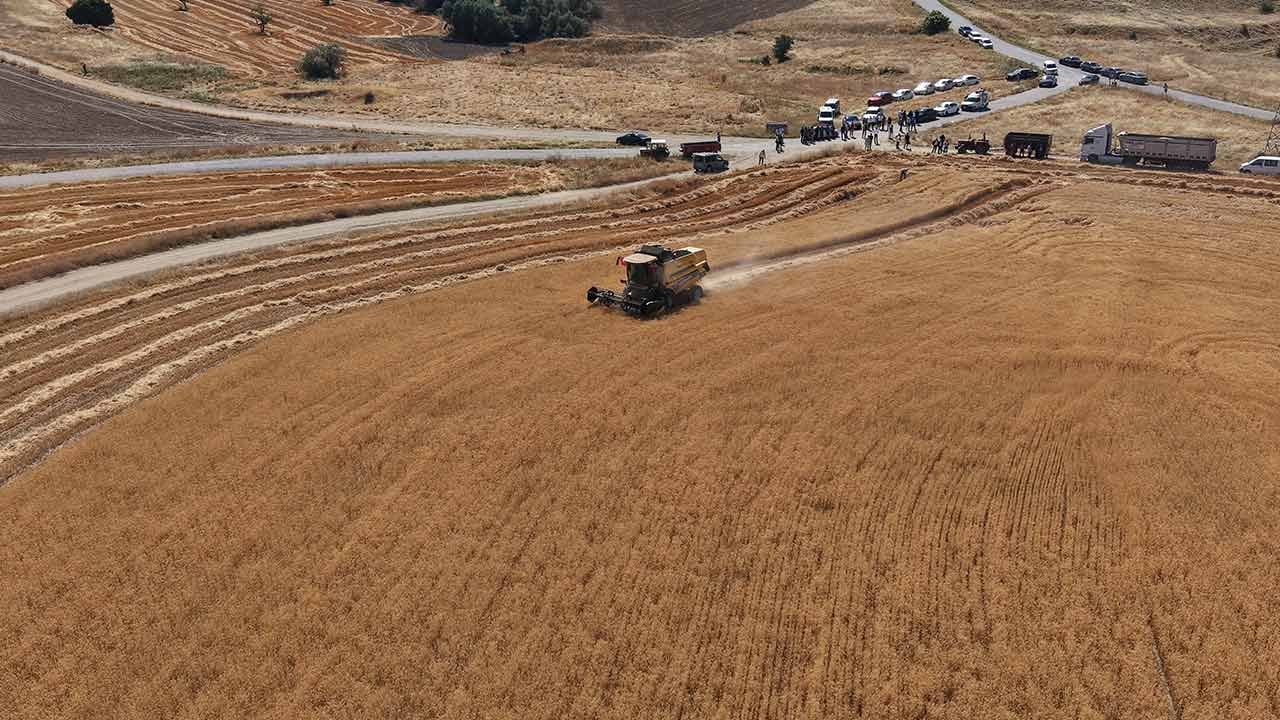 Foto - Biçerdöverin sürücü koltuğunda bir Alperen var...
