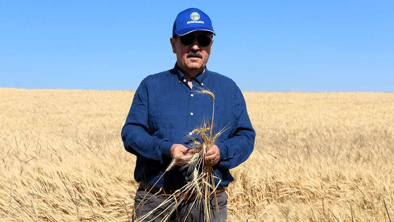 Biçerdöverin sürücü koltuğunda bir Alperen var...