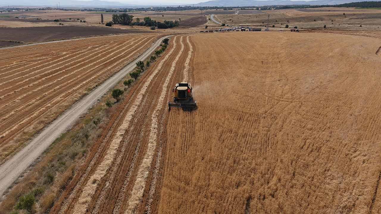 Foto - Biçerdöverin sürücü koltuğunda bir Alperen var...