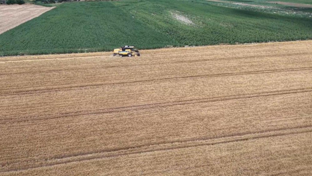Foto - Biçerdöverler iş başında Altın sarısı başaklar için hasat zamanı