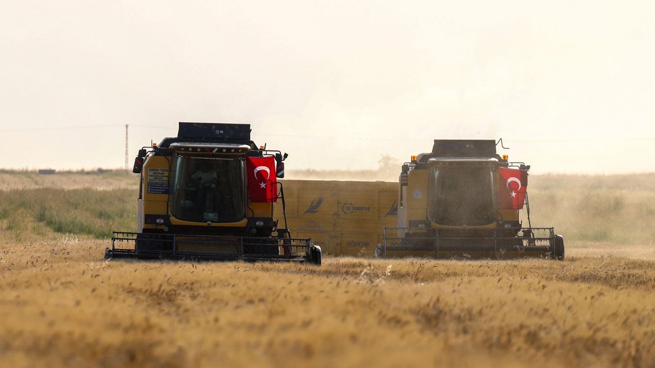 Biçerdöverler tarlaya indi! Buğdayda 709 bin tonluk bereket