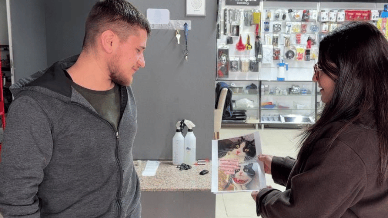 Foto - 'Bihter' isimli kedilerini bulana çeyrek altın verecekler! Camdan atlayarak kayıplara karıştı