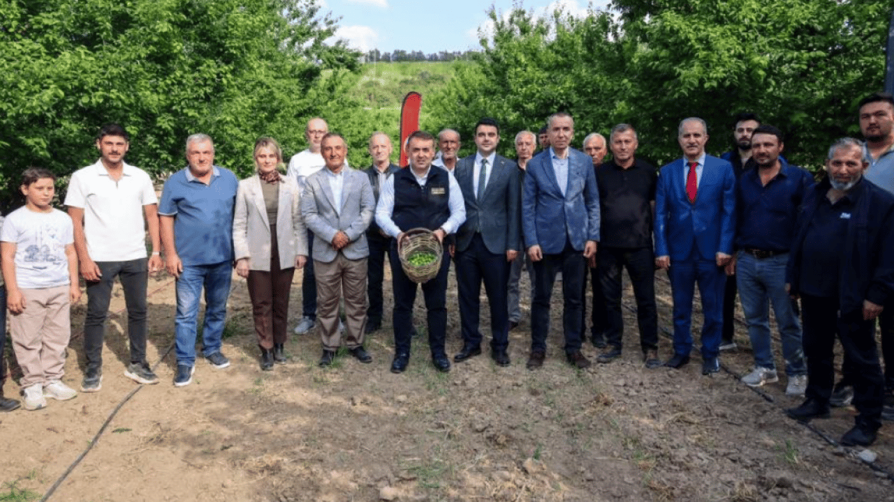 Foto - Bilecik’te can eriği sezonu başladı