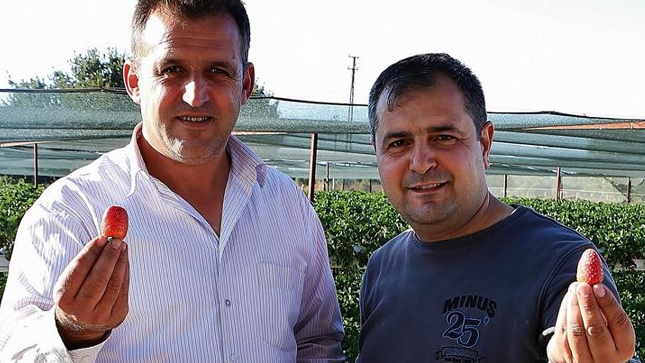 Foto - Bilecik'te güçlü destek! Yeni proje örnek olurken Balıkesir'in çileği daha değerli hale geldi... Yakın ilgi gördü 