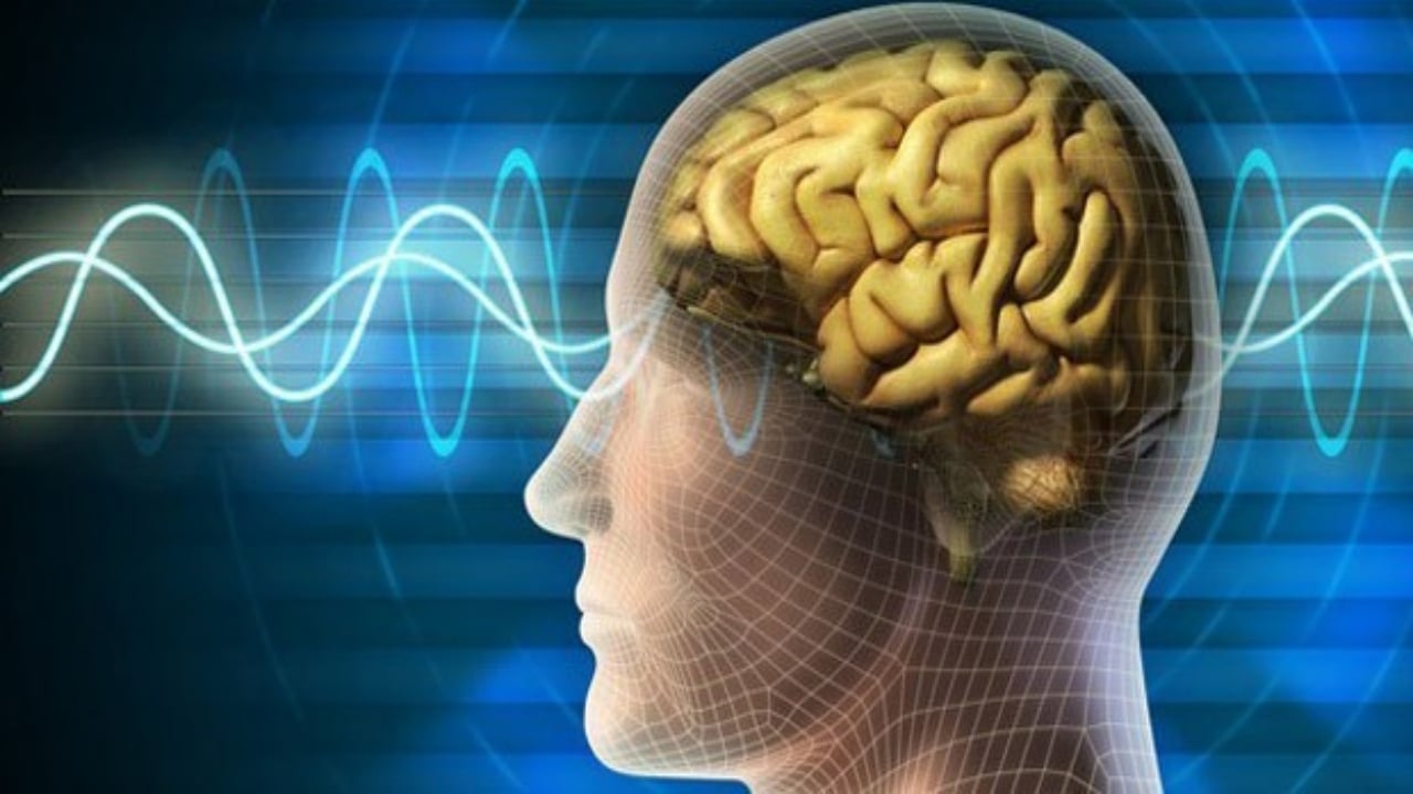 Foto - Bilim dünyası açıkladı: İşte IQ’su yüksek insanların en çok kullandığı 3 kelime