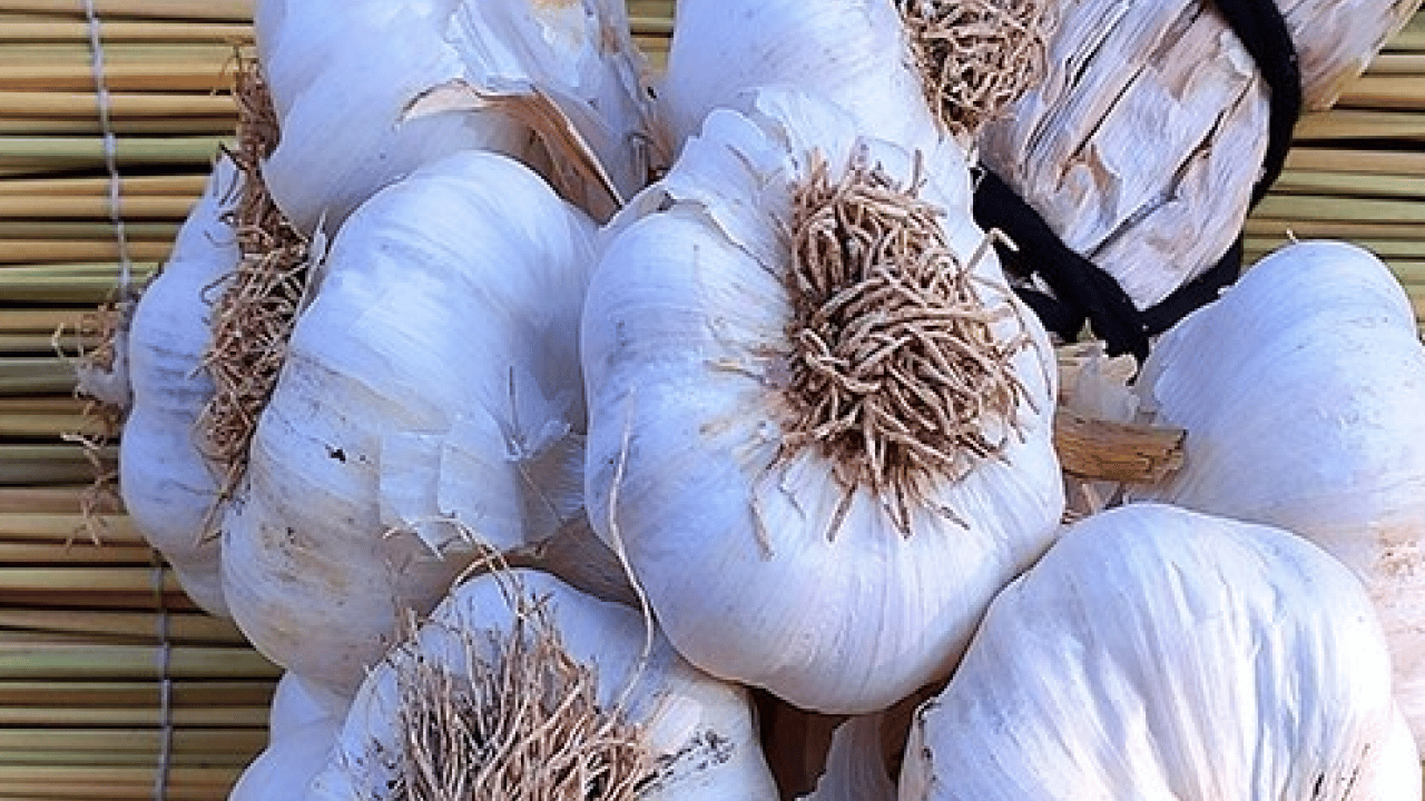 Foto - Bilim dünyası duyurdu: Doğal ilaç seçildi: Süper moleküllü o besin
