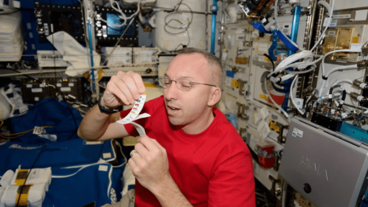 Foto - Bilim dünyasında dev adım! Ay'da yaşam için düğmeye basıldı