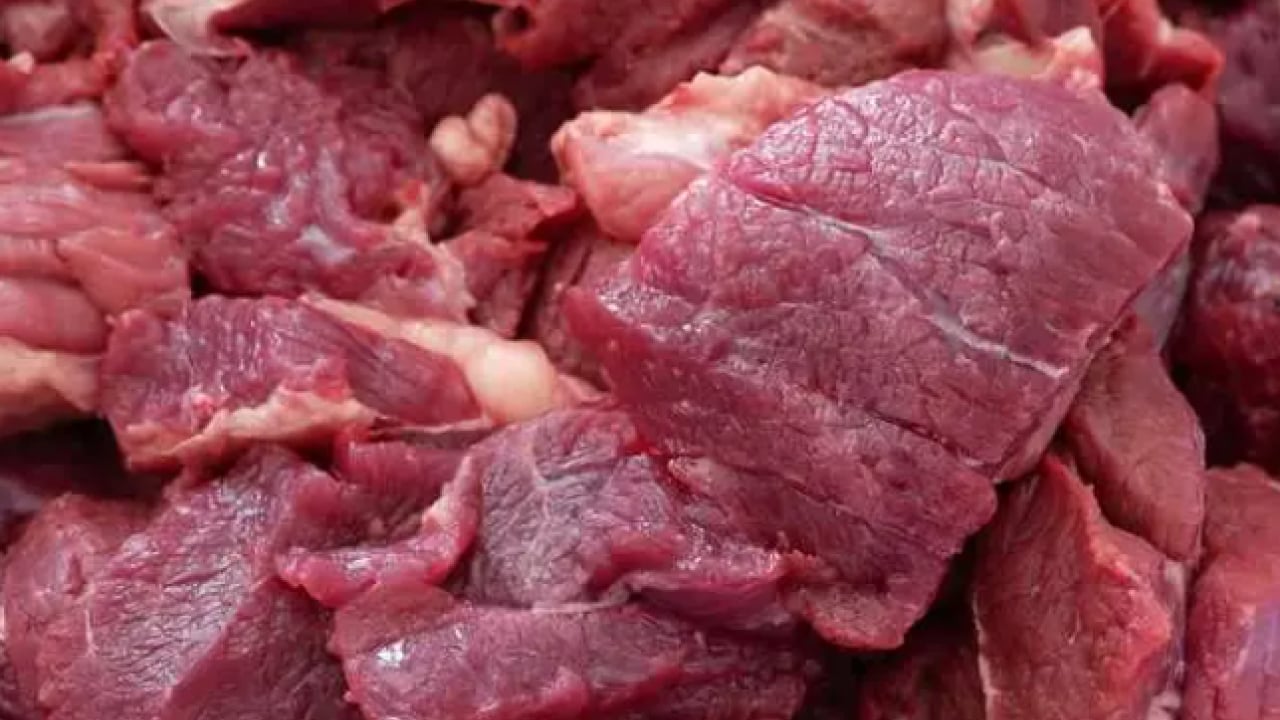 Foto - Bilim dünyasını karıştıran olay: Gökyüzünden kilolarca et yağdı!