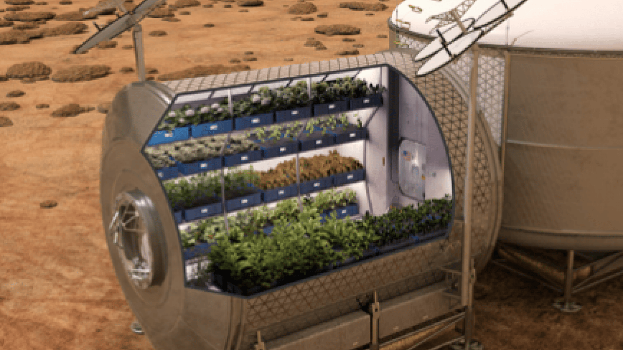 Foto - Bilim insanları tarihi teste imza attı! Mars'ta tarıma bir adım daha: 9 ay boyunca uzay boşluğuna dayandı