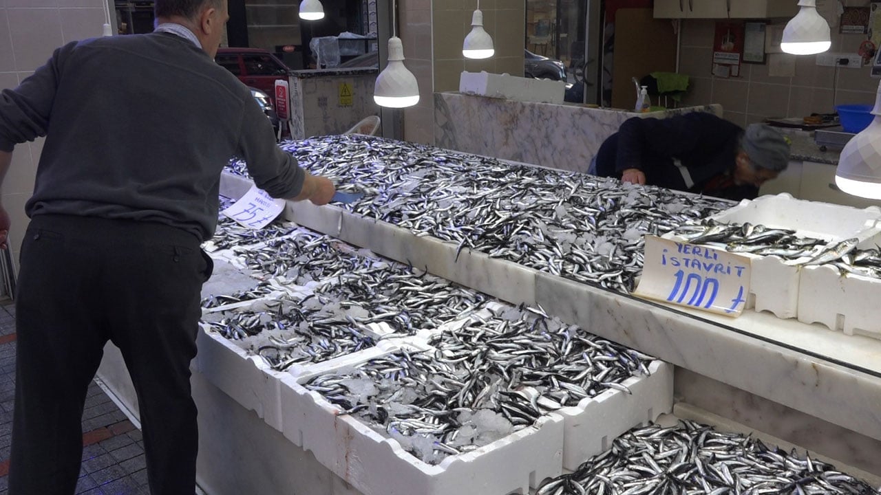 Foto - Bilim insanları uyardı! Bir daha hamsi yiyemeyebiliriz