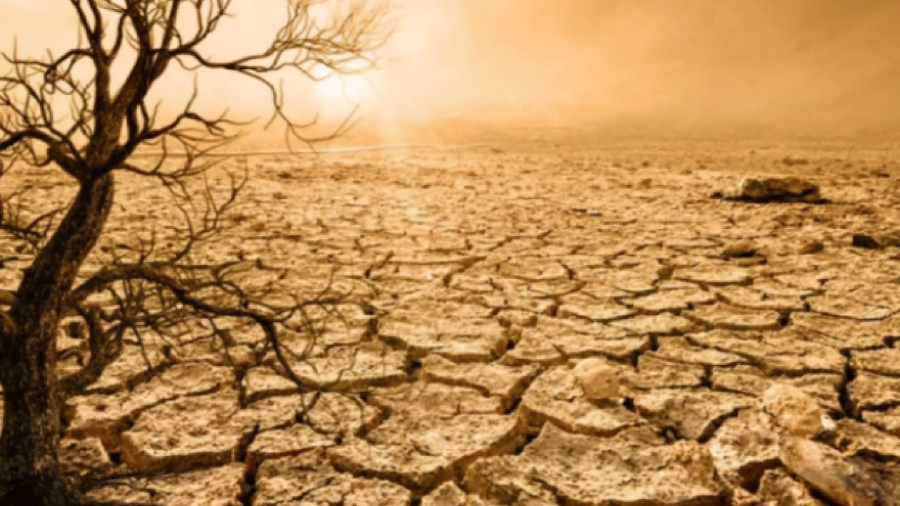 Foto - Bilim insanlarından ‘Sera Dünya’ uyarısı: Geri dönüşü olmayan noktadayız!