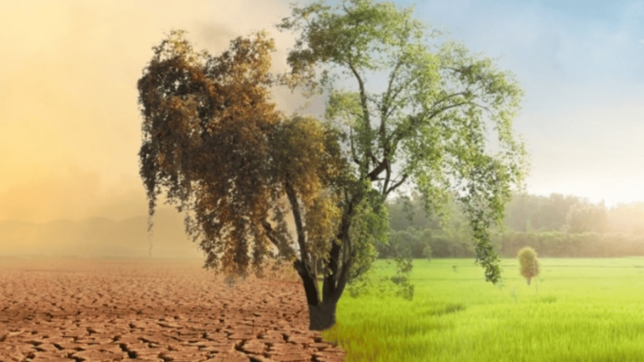 Foto - Bilim insanlarından ‘Sera Dünya’ uyarısı: Geri dönüşü olmayan noktadayız!