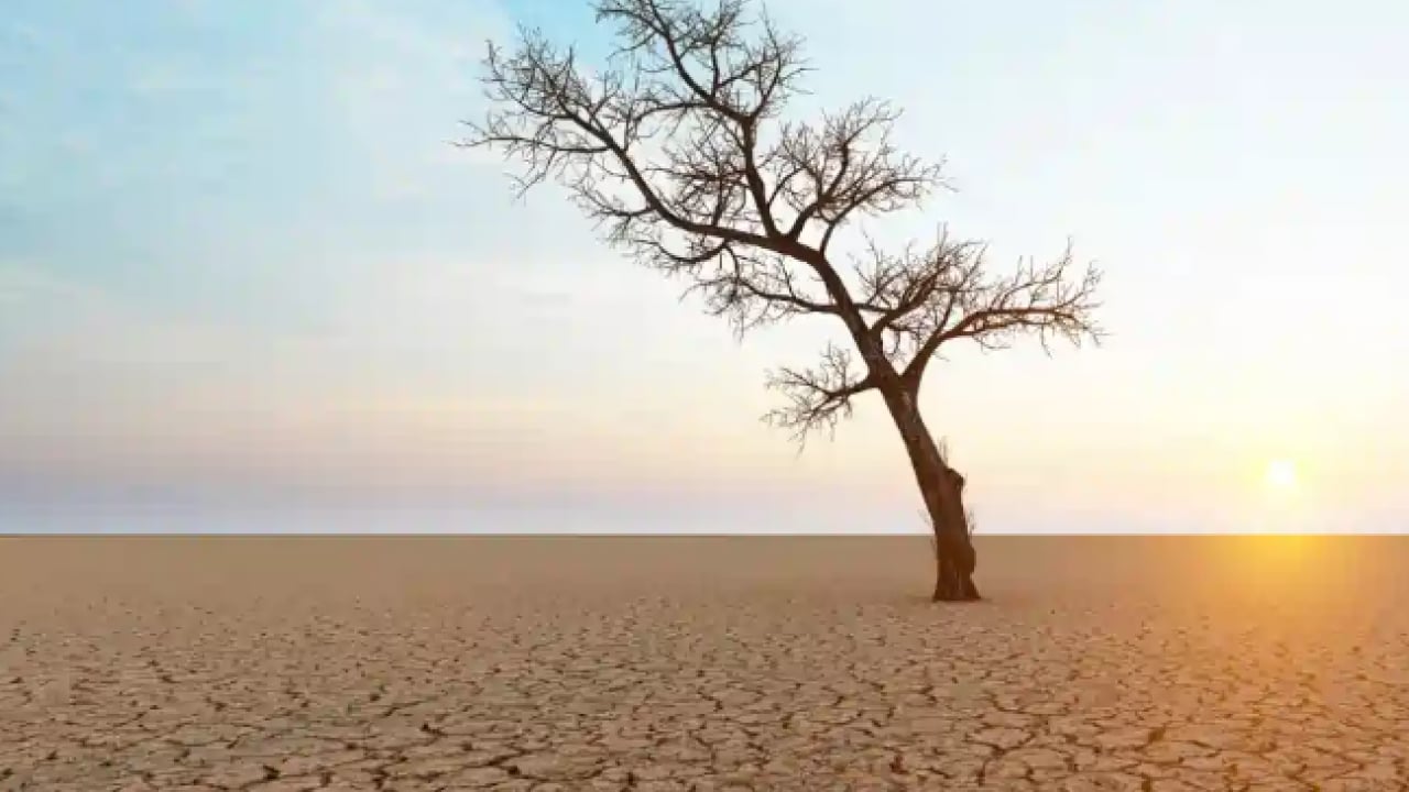 Foto - Bilim insanlarından ‘Sera Dünya’ uyarısı: Geri dönüşü olmayan noktadayız!