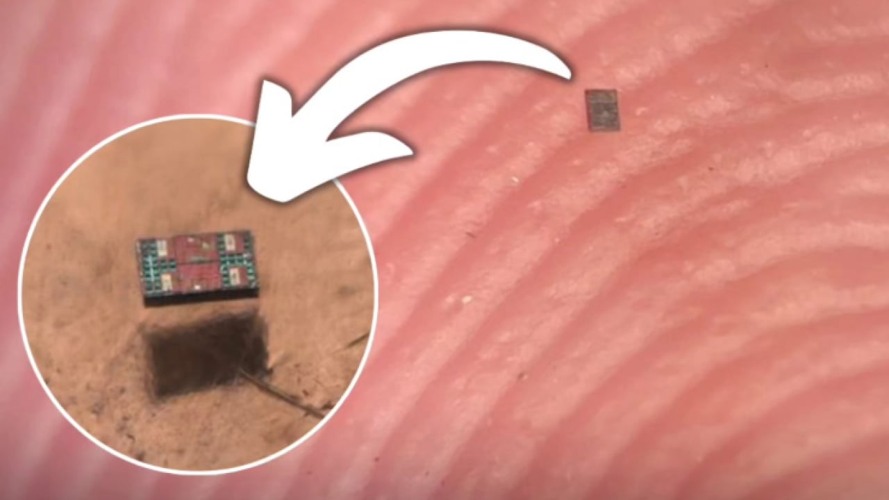 Bilim kurgu gerçek oldu: Bir kum tanesinden küçük, düşünebilen ilk robot üretildi!