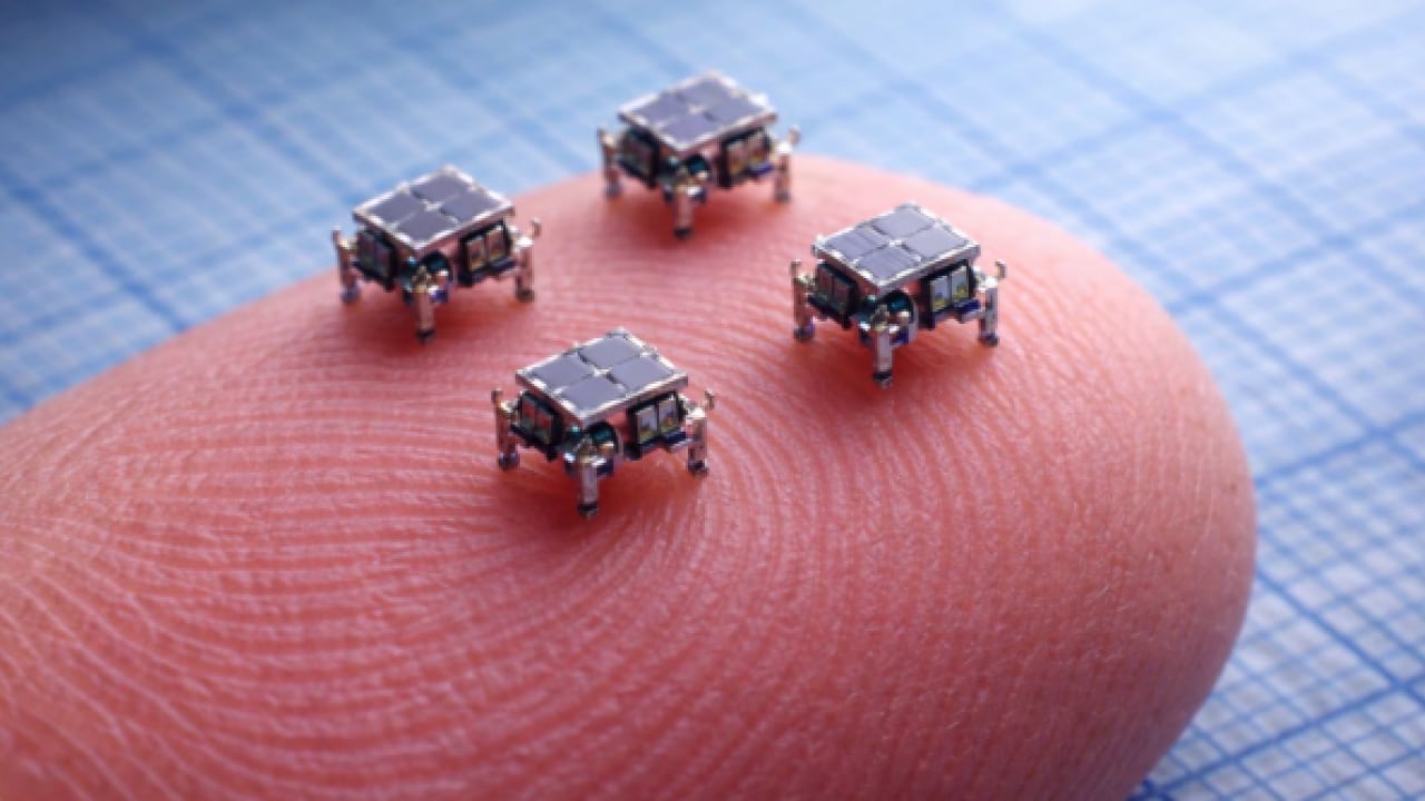 Foto - Bilim kurgu gerçek oldu: Bir kum tanesinden küçük, düşünebilen ilk robot üretildi!