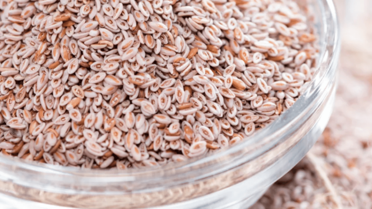 Foto - Bilimsel adı ile 'psyllium husk' Chia tohumuna rakip doğuyor: Yaz gelmeden yağları eritiyor