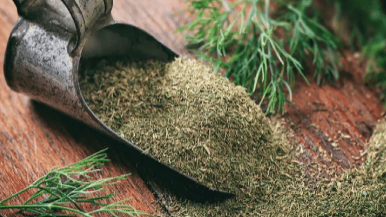 Foto - Bilimsel adı ile 'psyllium husk' Chia tohumuna rakip doğuyor: Yaz gelmeden yağları eritiyor